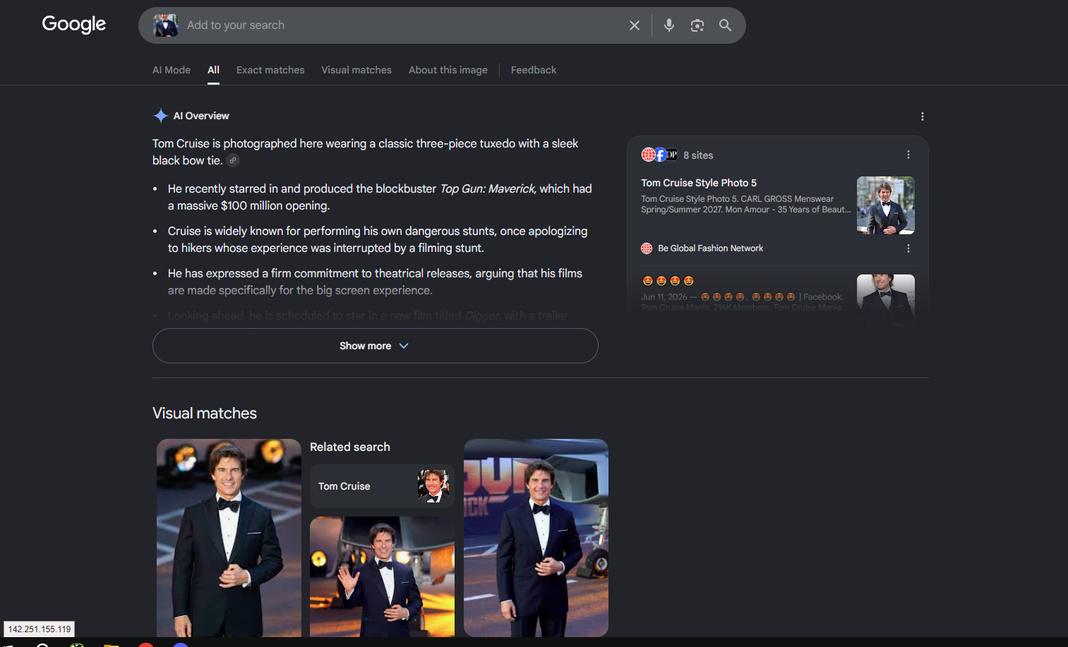 Google reverse image search results page showing an AI Overview describing the uploaded photo, a panel of source sites on the right, and a "Visual matches" row of related images below