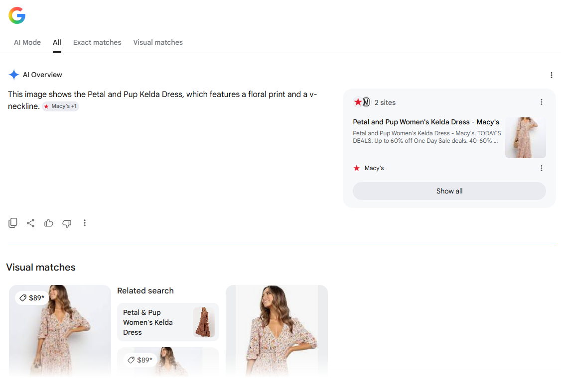 Google Lens reverse image search result showing an AI Overview that identifies the dress, a source panel linking to a retailer listing, and a "Visual matches" heading below
